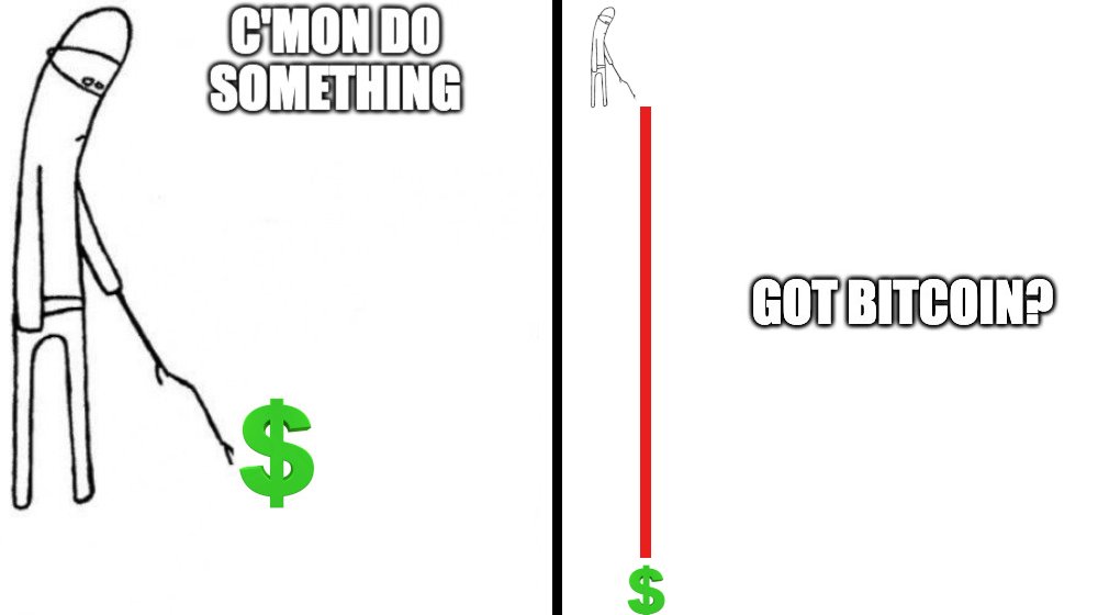 MicroSeed.io tweet media