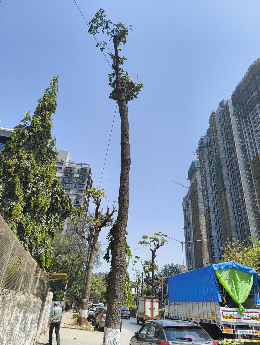 🚨Indian Gems tweet media