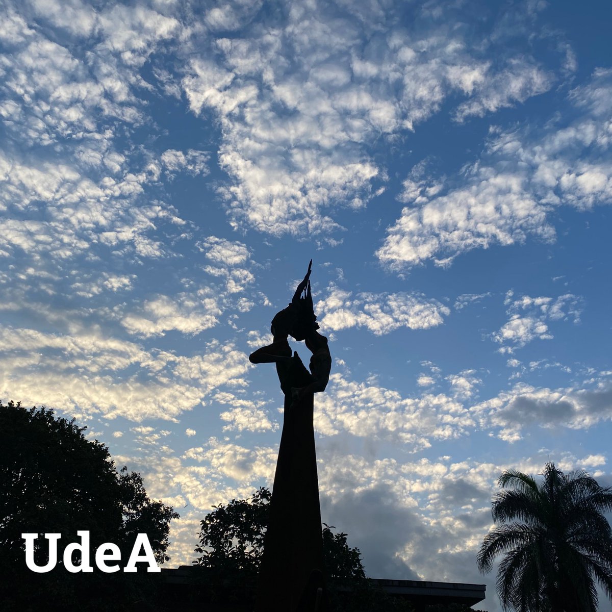 Universidad de Antioquia tweet media