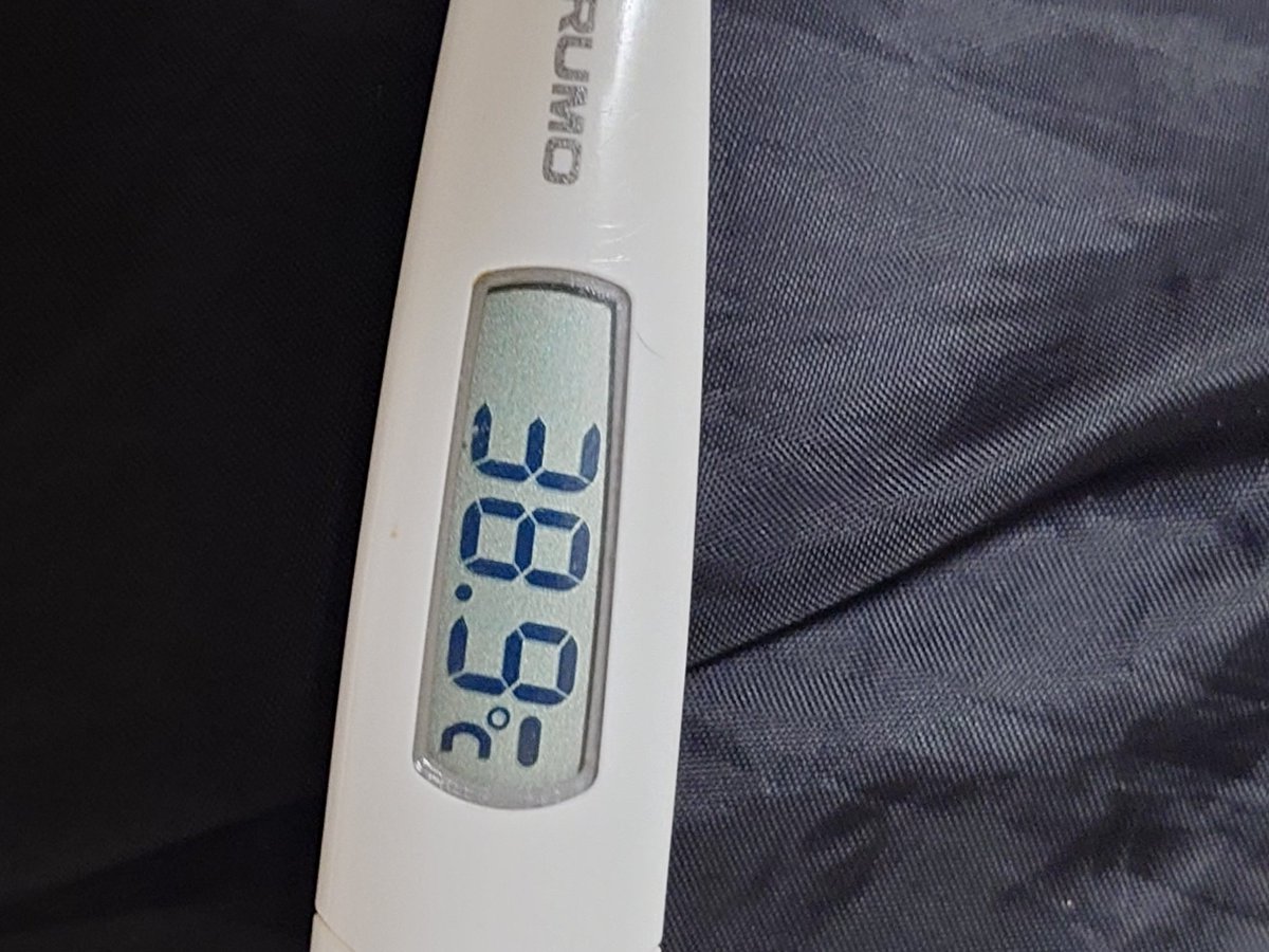 まろん tweet media