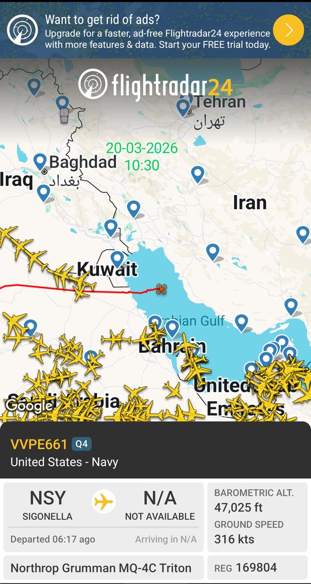 Ali Miziad tweet media