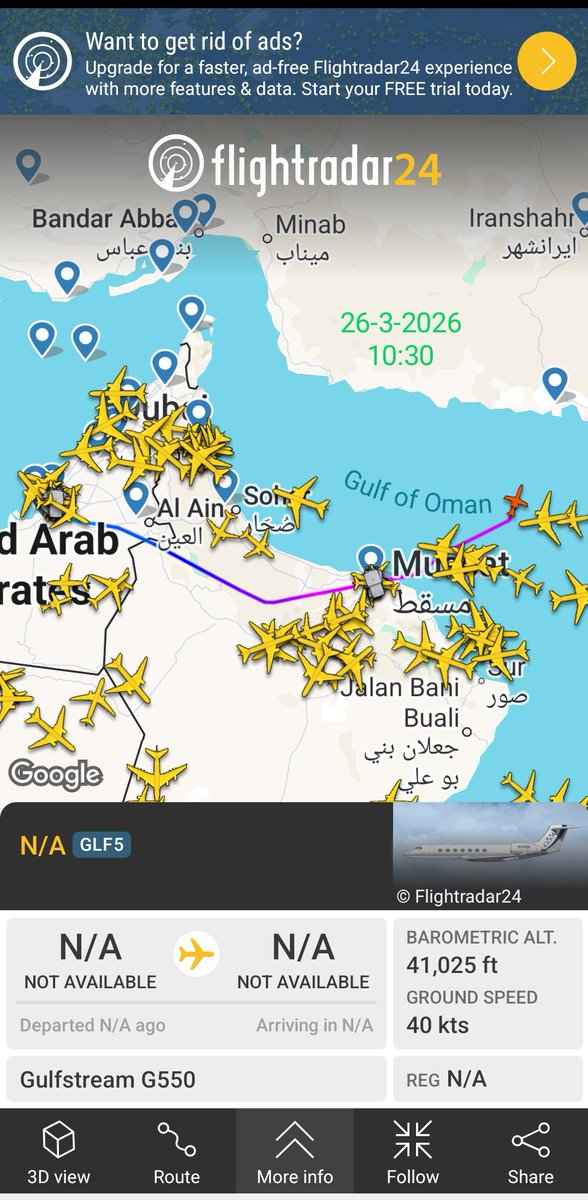 Ali Miziad tweet media