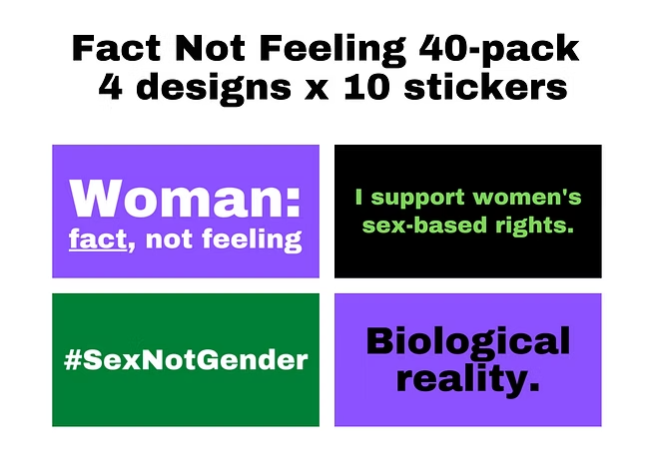 Esme Vee 〰️ (big dragon energy) tweet media