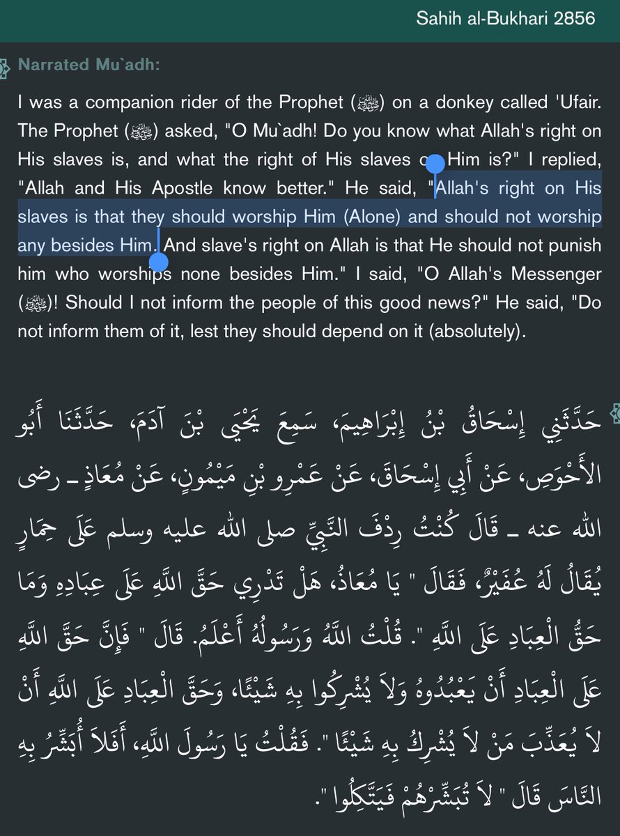 Abu Dawood 🦊🇦🇹 tweet media