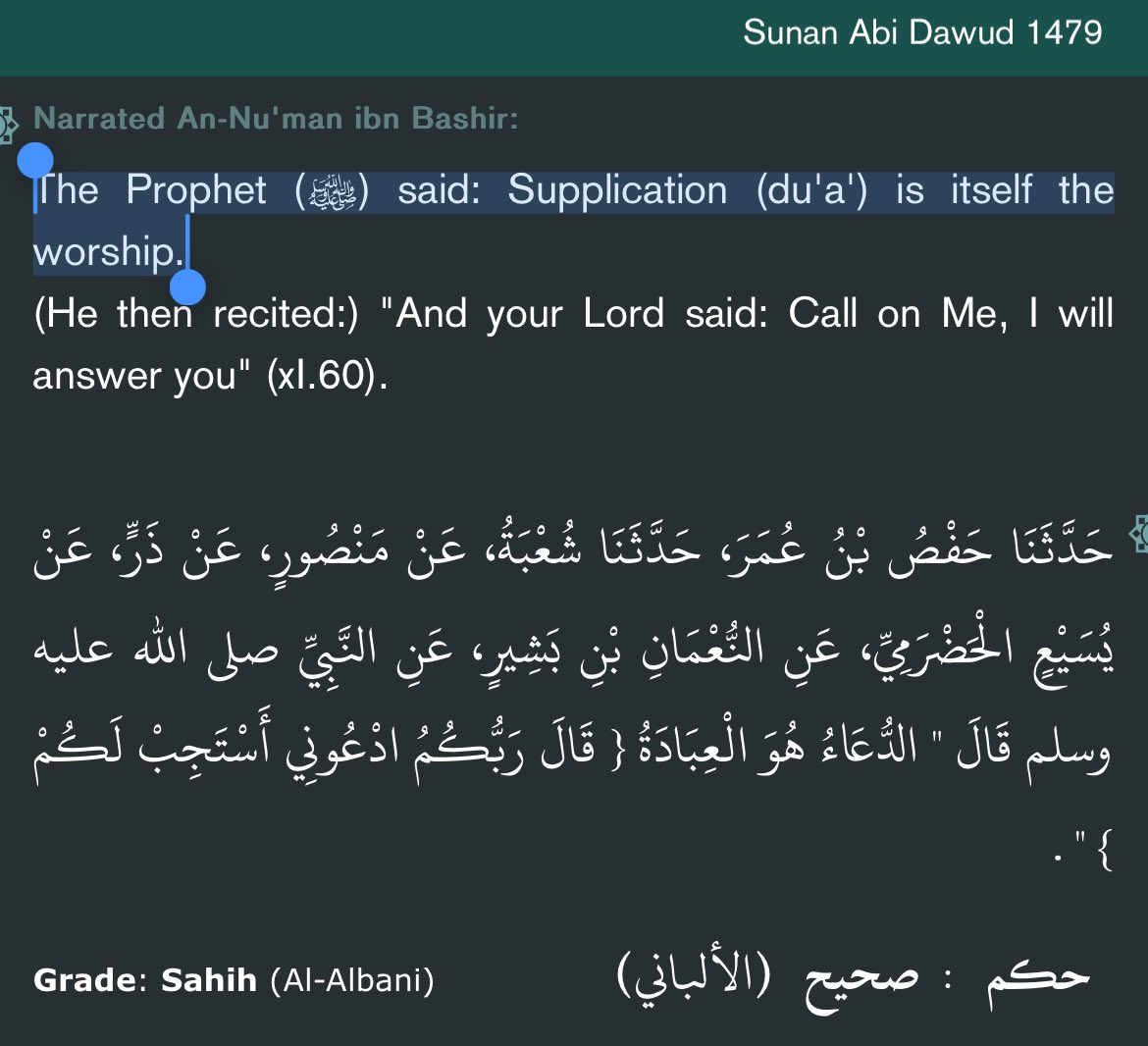 Abu Dawood 🦊🇦🇹 tweet media