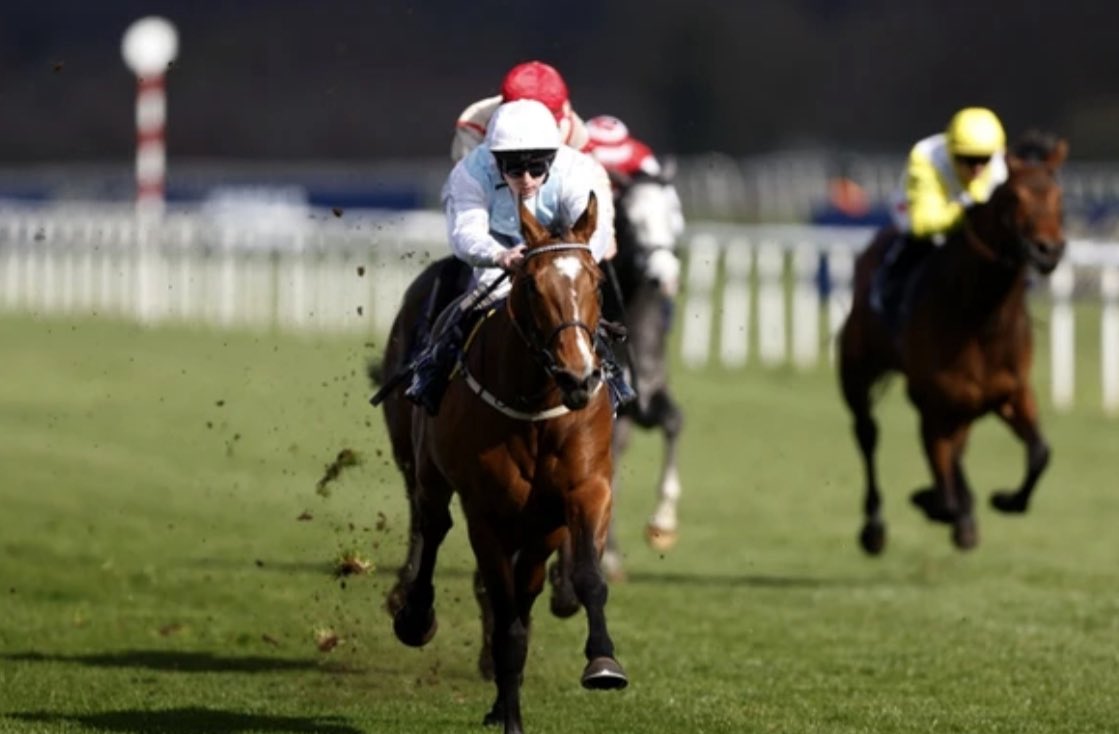 Kings Bloodstock tweet media