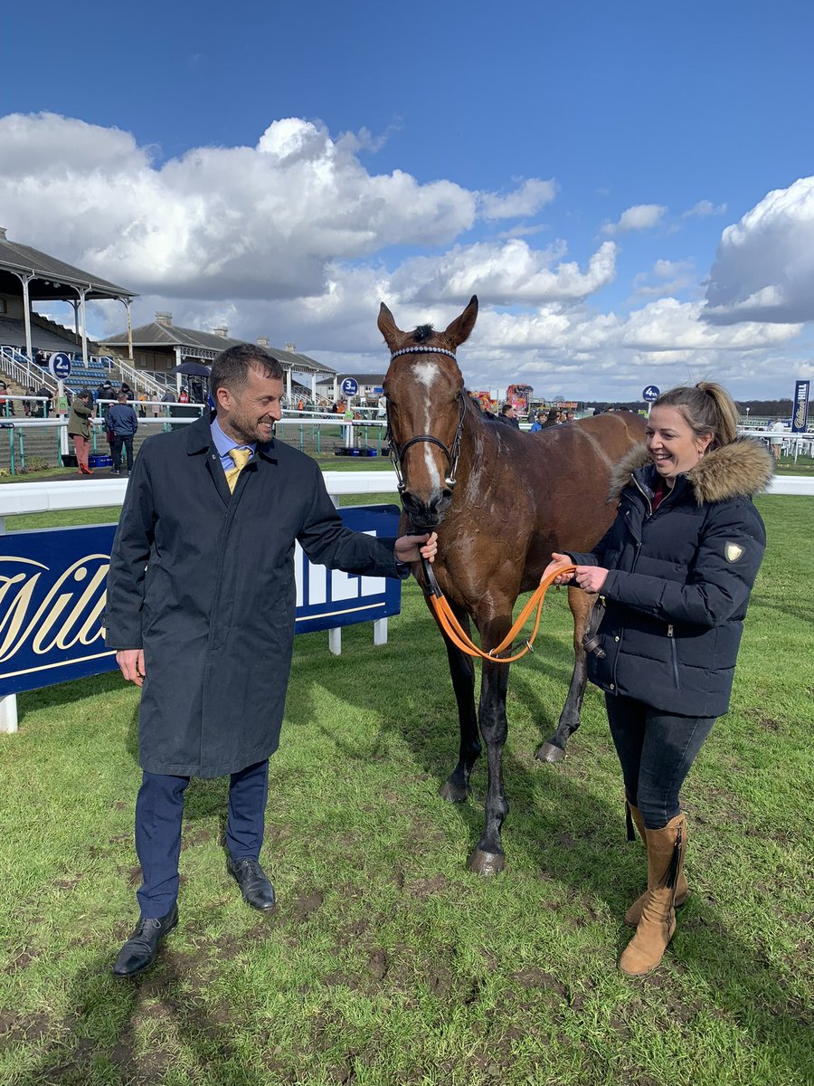 Kings Bloodstock tweet media