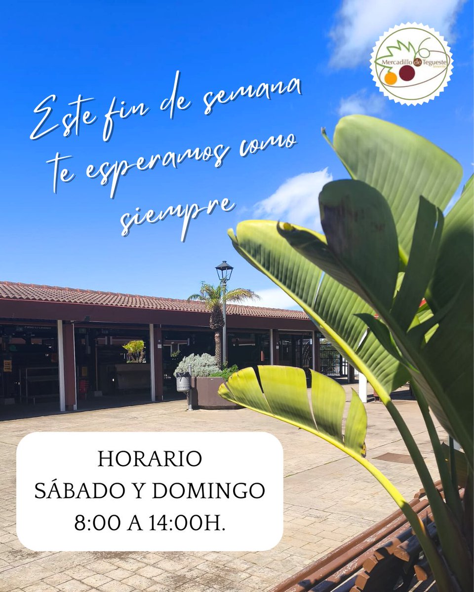 Ⓜ️ercadillo de Tegueste (@mercategueste) on Twitter photo 