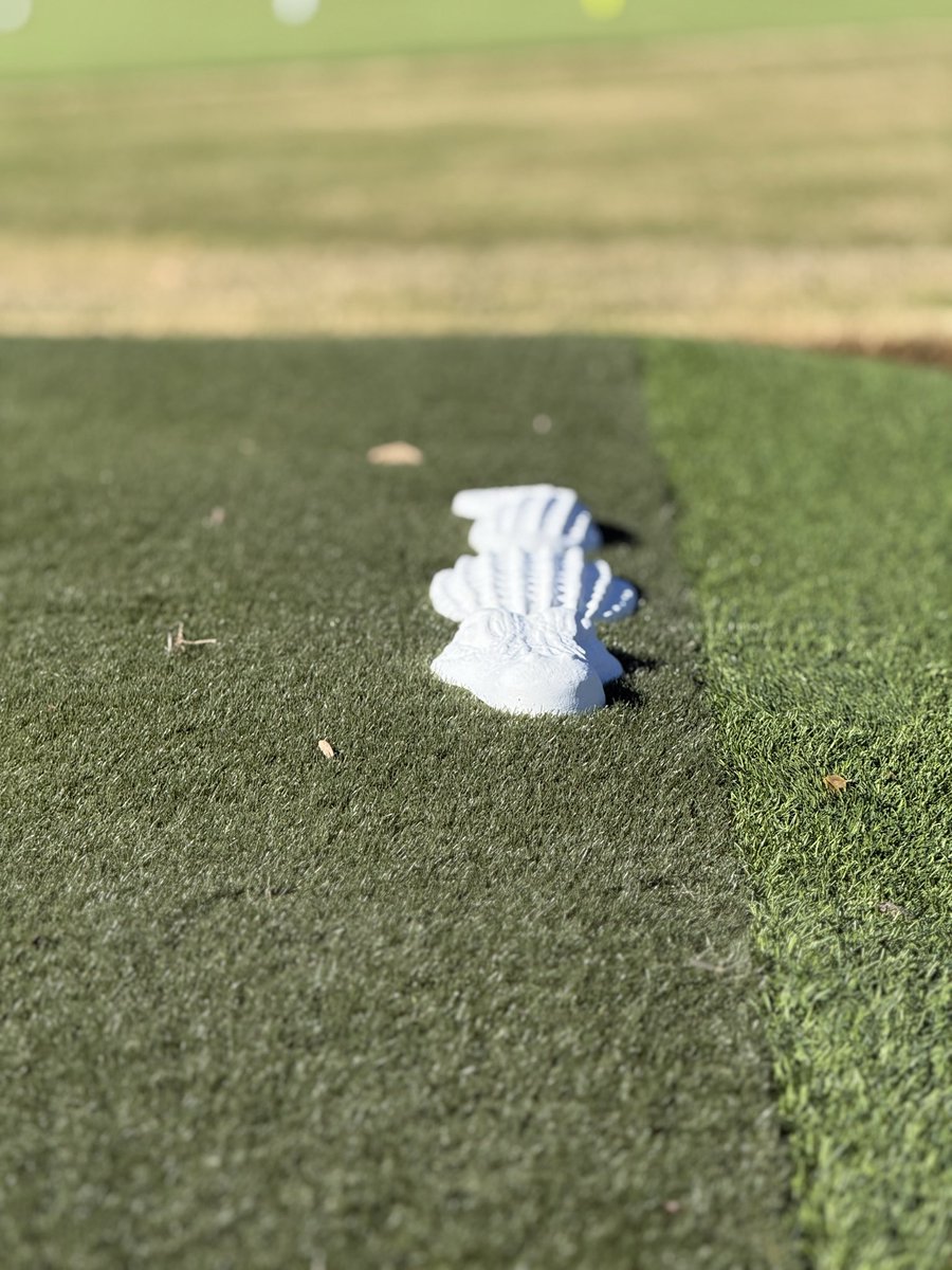 Philip Turturro tweet media