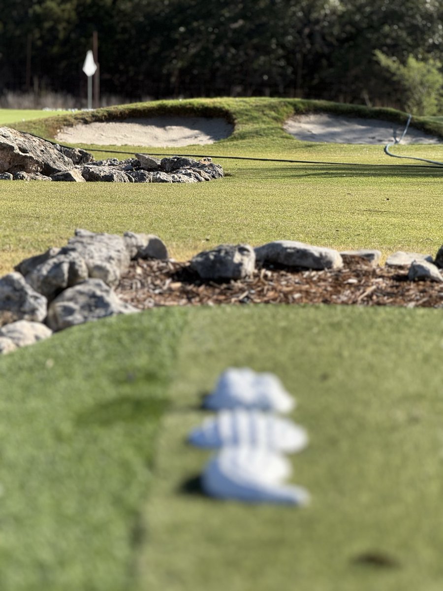 Philip Turturro tweet media