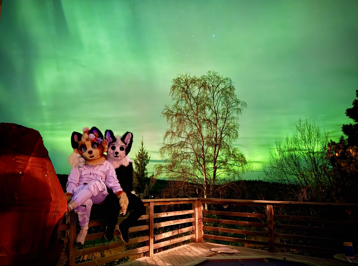 Tobemello tweet media