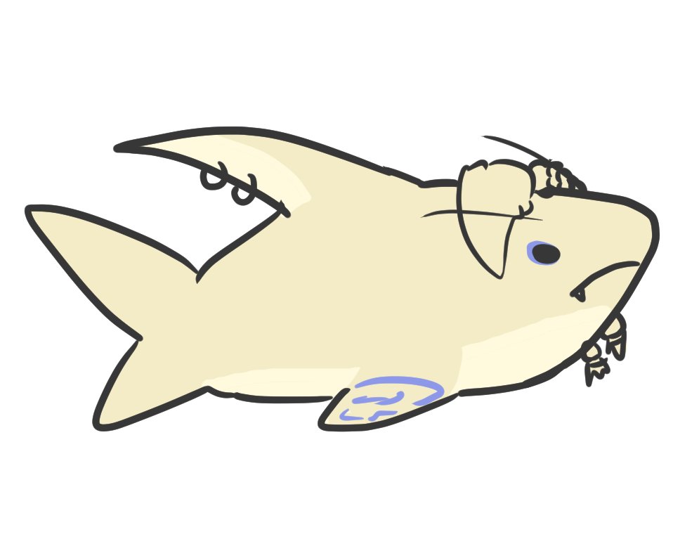 문뉘🏹⚓️ tweet media