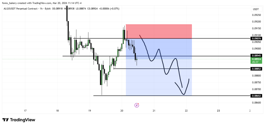 CRYPTO BAKERY tweet media