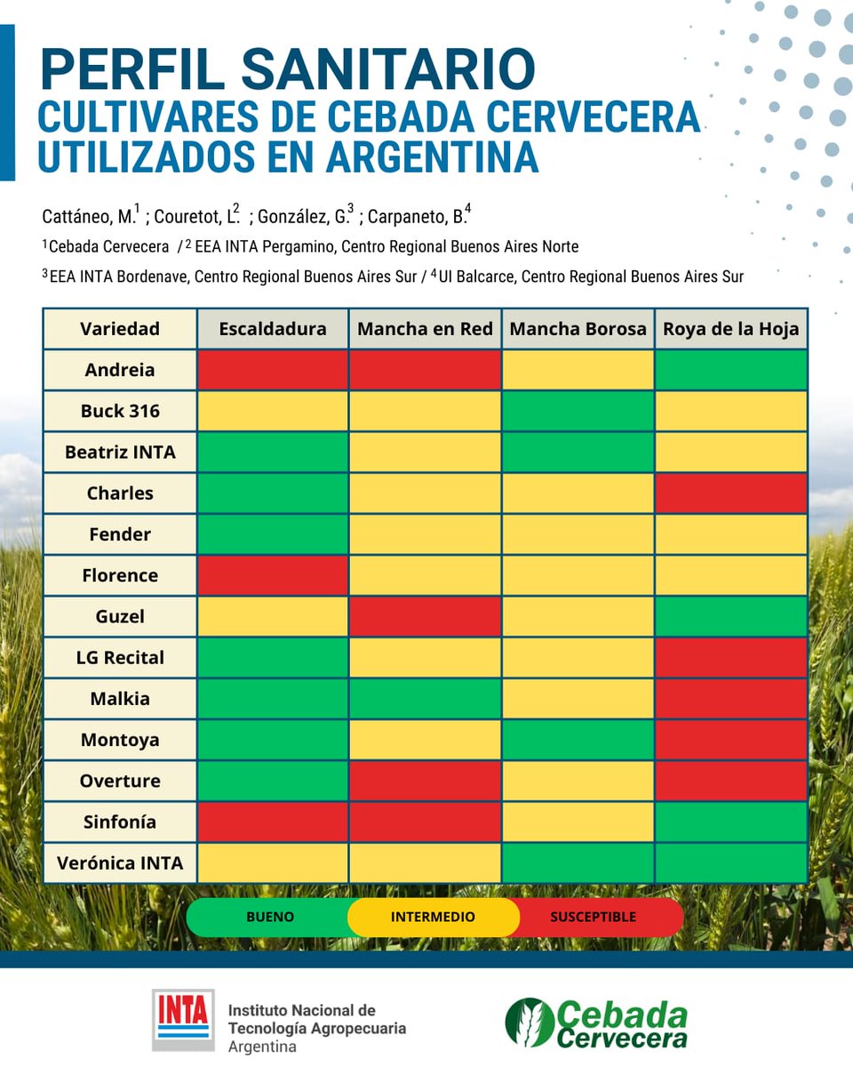 Cebada Cervecera tweet media