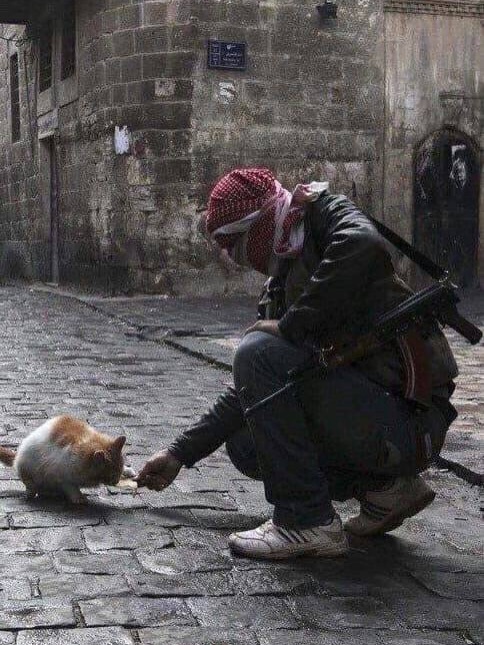 𝙊𝙥𝙧𝙚𝙠 tweet media