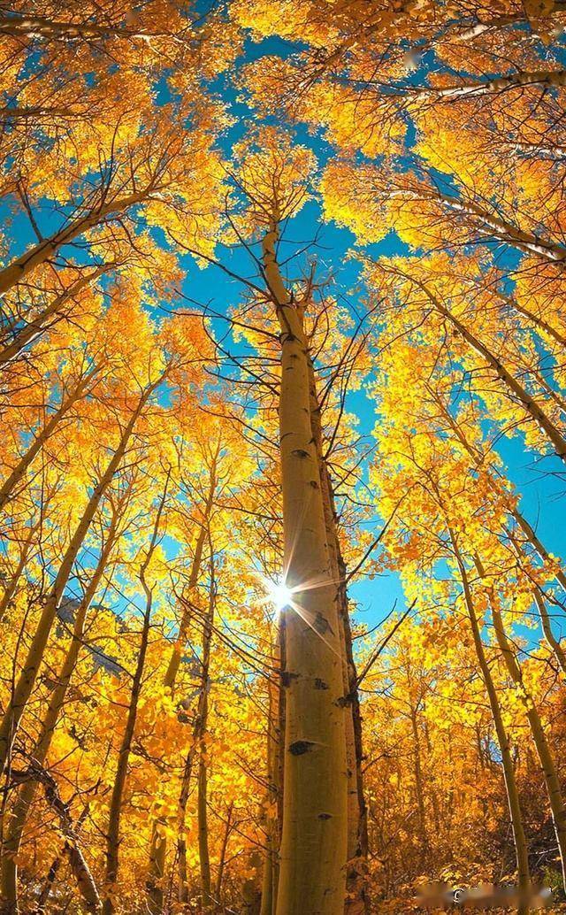 Anand - IT Manager tweet media