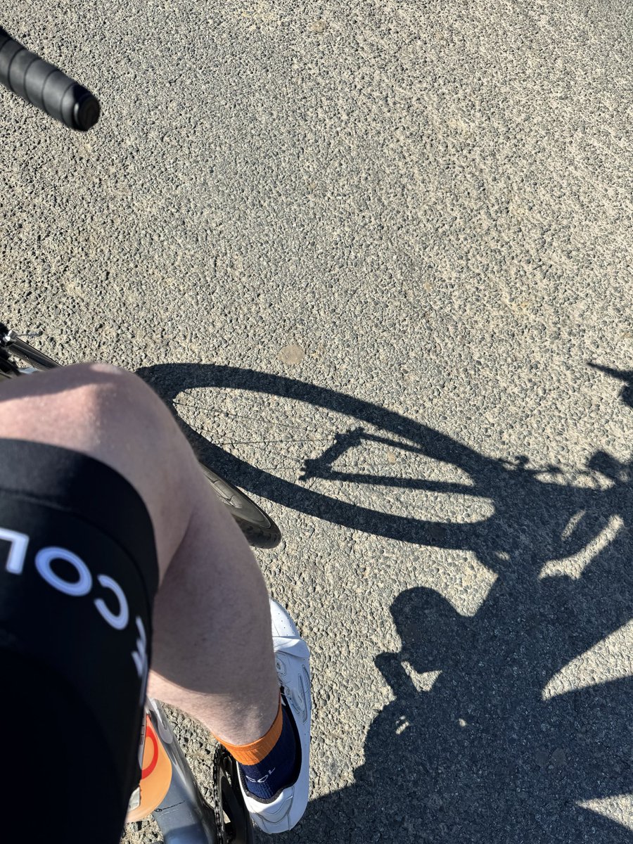 Tim Snook tweet media