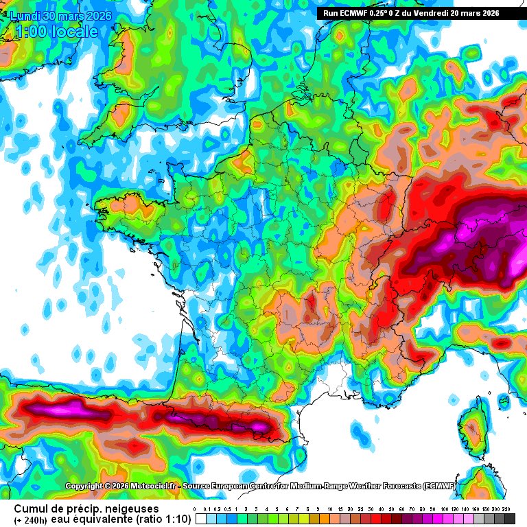 Mohamed 🇩🇿🇫🇷ⵣ tweet media