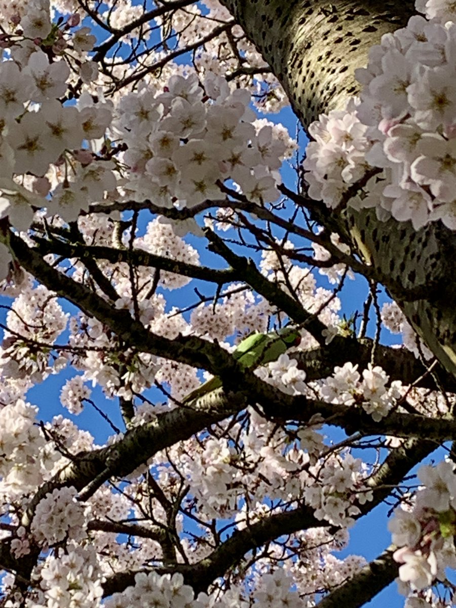 Denise Miltenburg tweet media