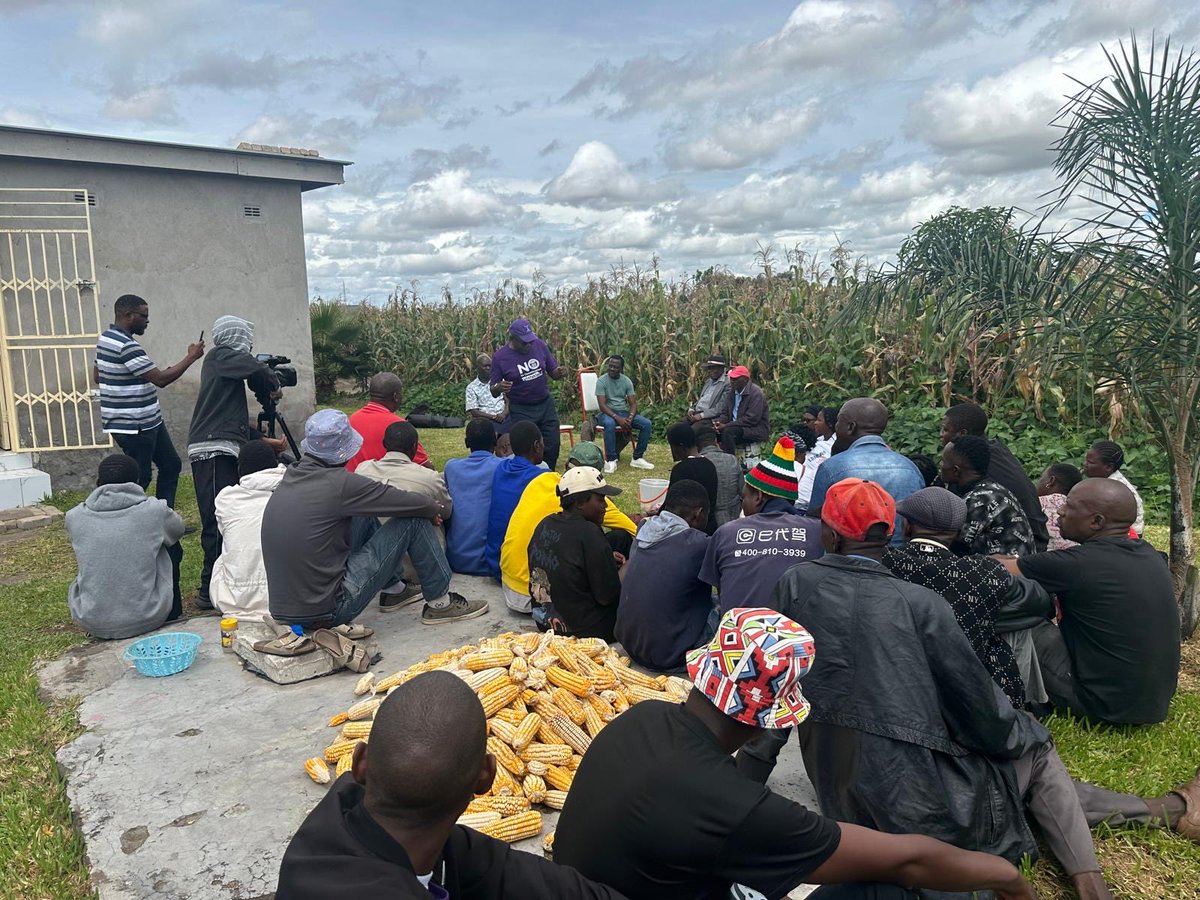 Makomborero Haruzivishe tweet media