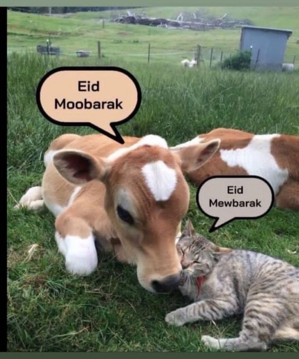 Michael Vokabre tweet media