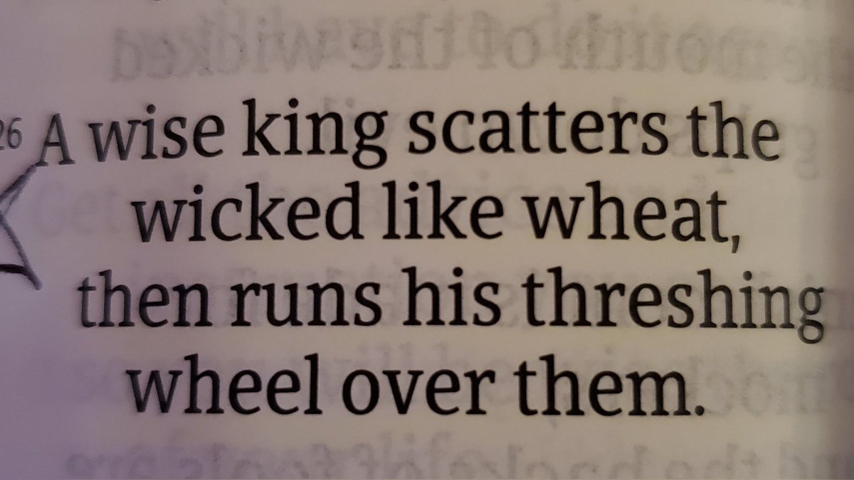 turkalurk tweet media