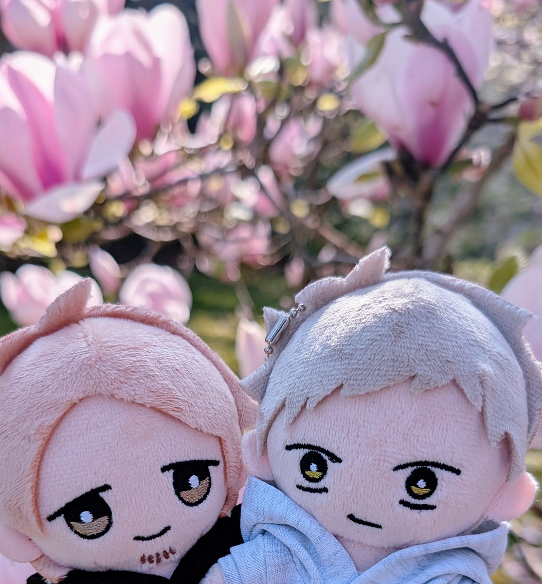 aino | 🍁🌸 tweet media