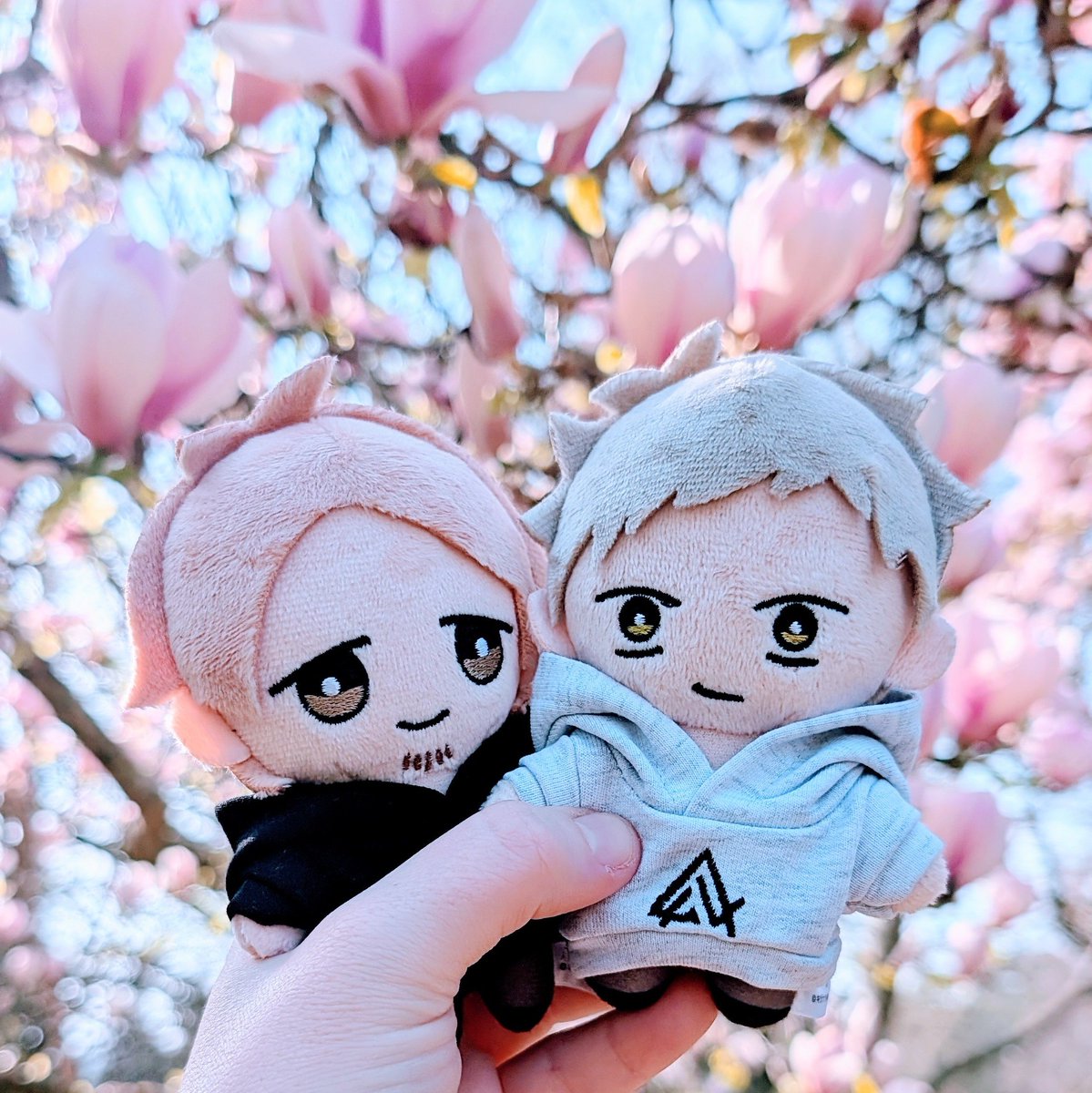 aino | 🍁🌸 tweet media