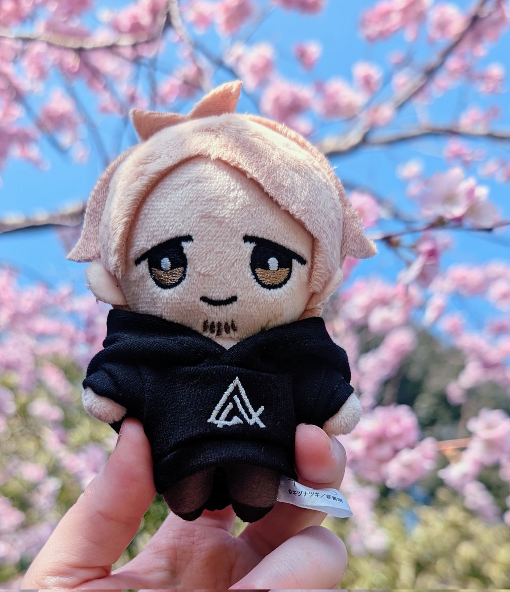 aino | 🍁🌸 tweet media