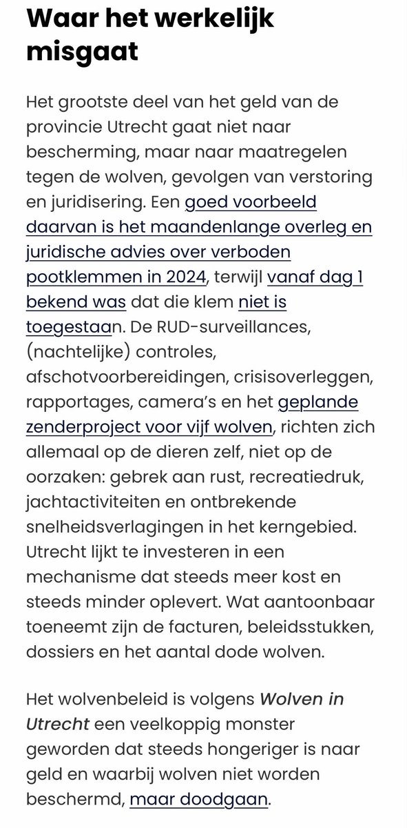 Wolven in Utrecht tweet media