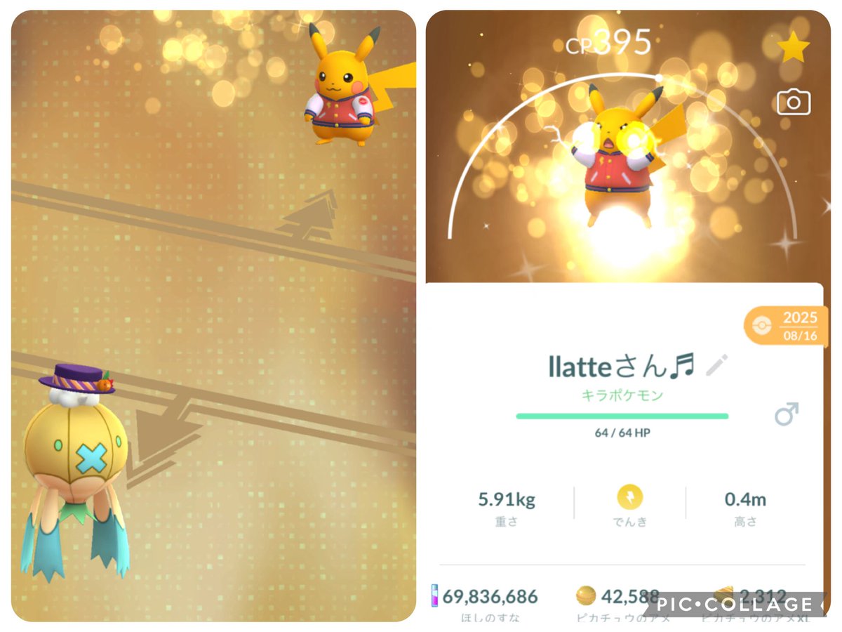 Caffellatte☕️🌿✨ tweet media