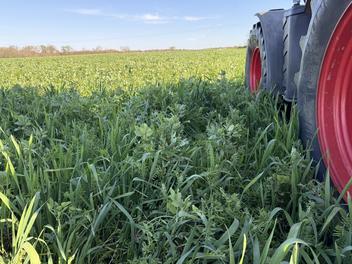 Stéphane Olivier 🇫🇷 tweet media