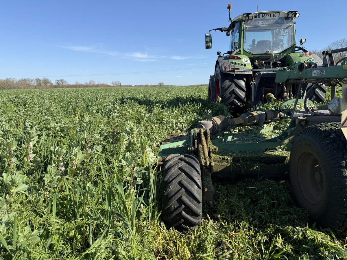 Stéphane Olivier 🇫🇷 tweet media