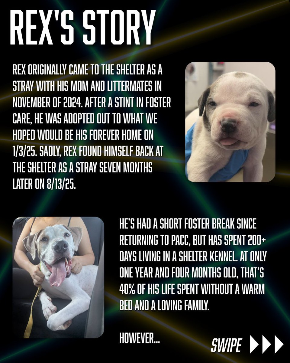 KIIM FM 99.5 tweet media