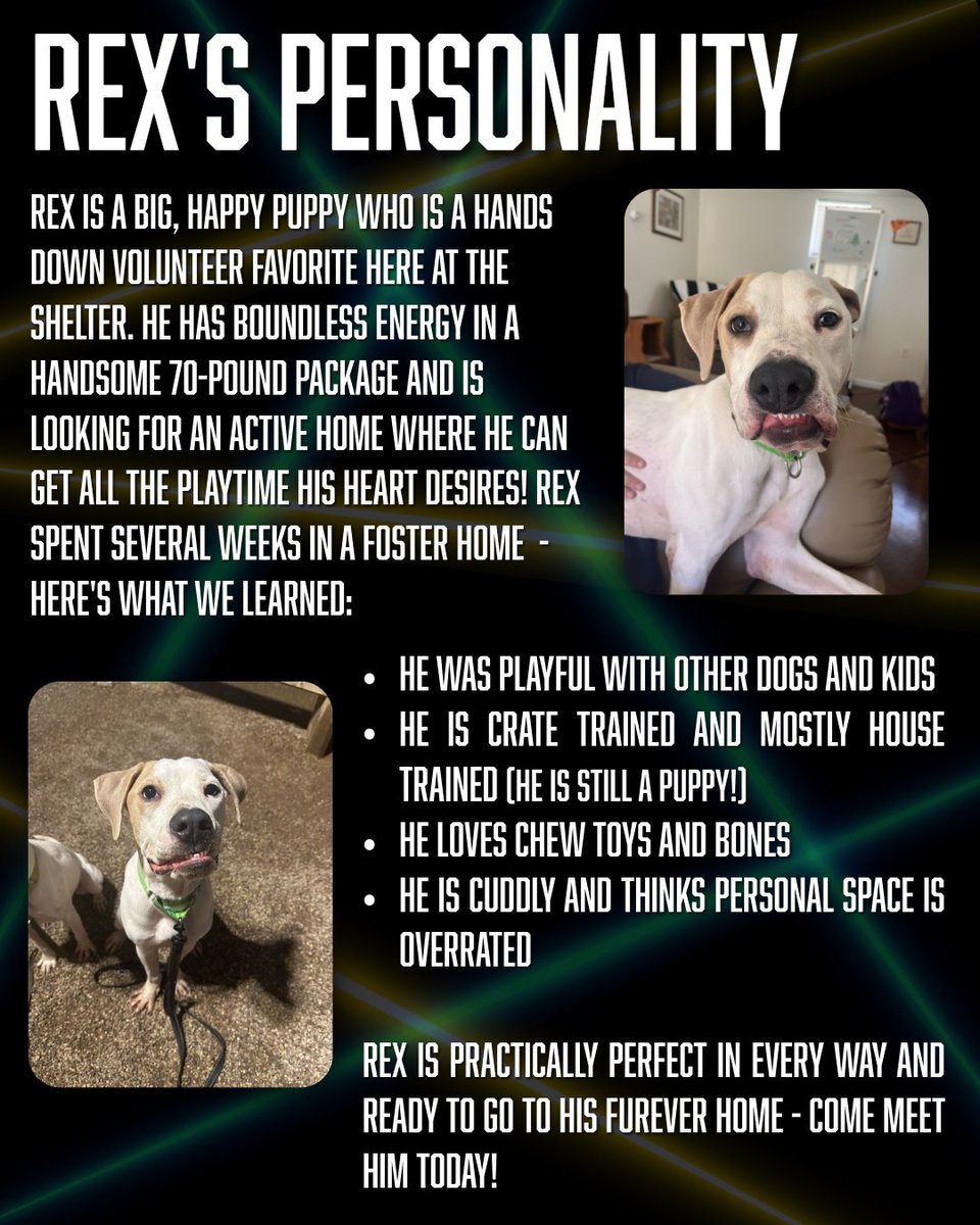 KIIM FM 99.5 tweet media