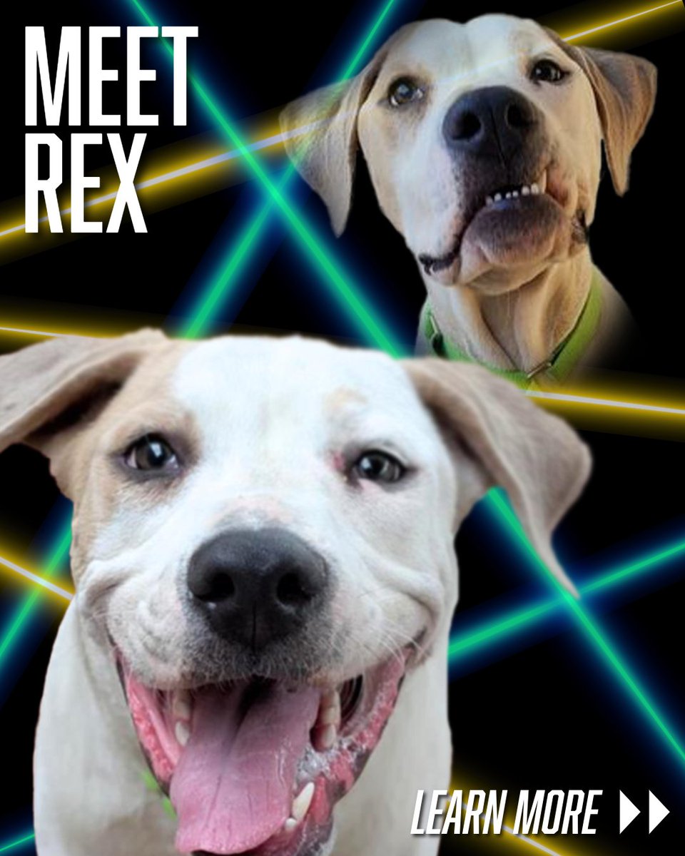 KIIM FM 99.5 tweet media