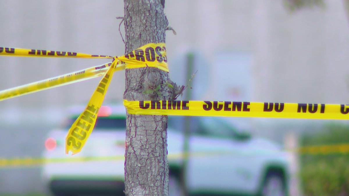 Ryan French FOX13 tweet media