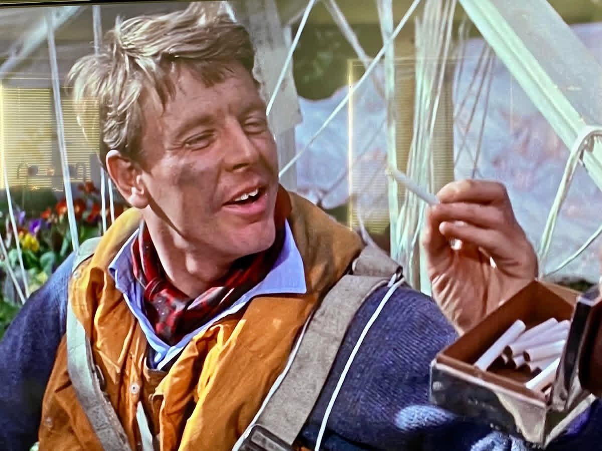 Polish Heritage Flight tweet media