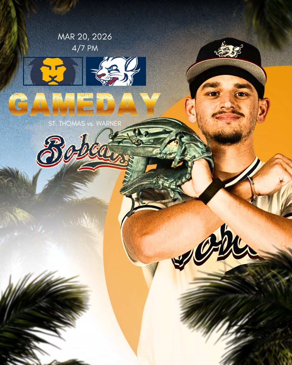 STU Baseball tweet media