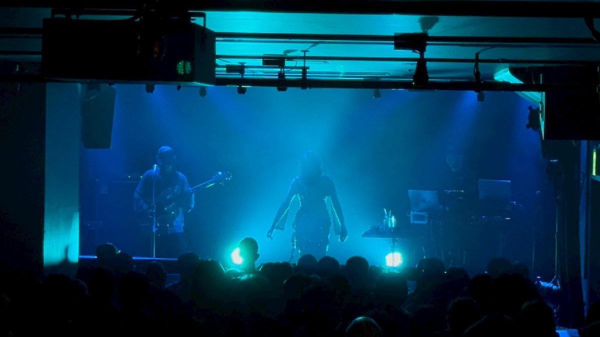 LINO LEIA (リノレイア) tweet media