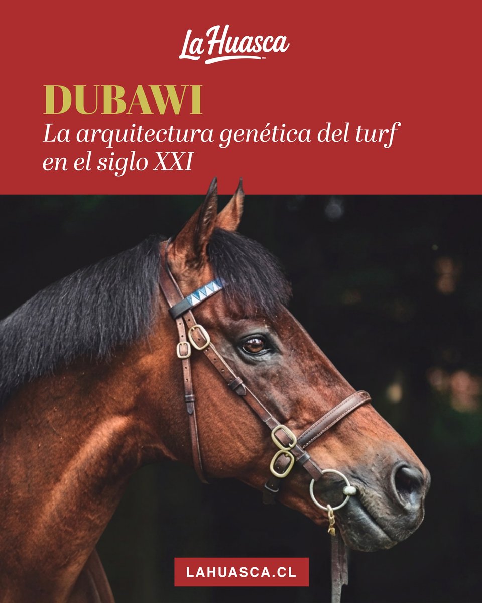 ElTurf.com tweet media