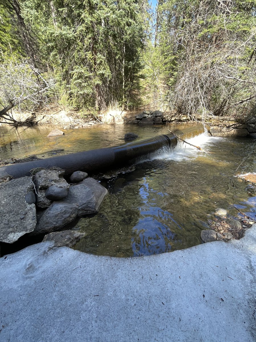 Save The World's Rivers! tweet media