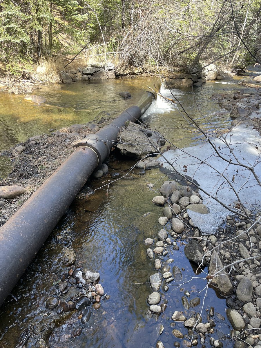 Save The World's Rivers! tweet media