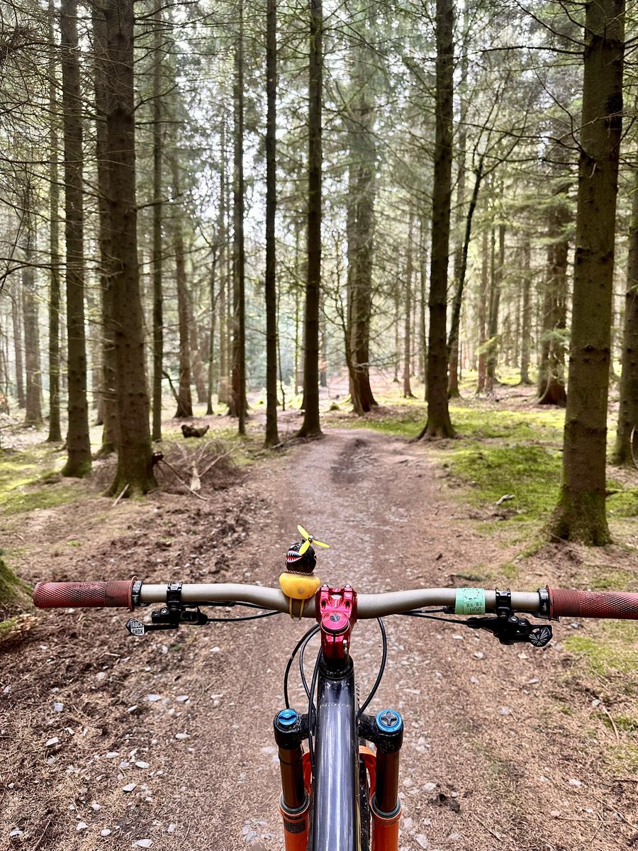 JJs MTB Diaries tweet media