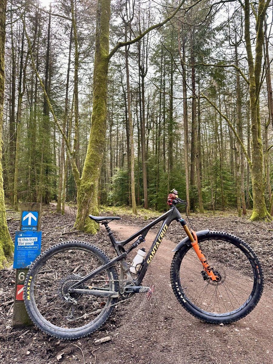 JJs MTB Diaries tweet media