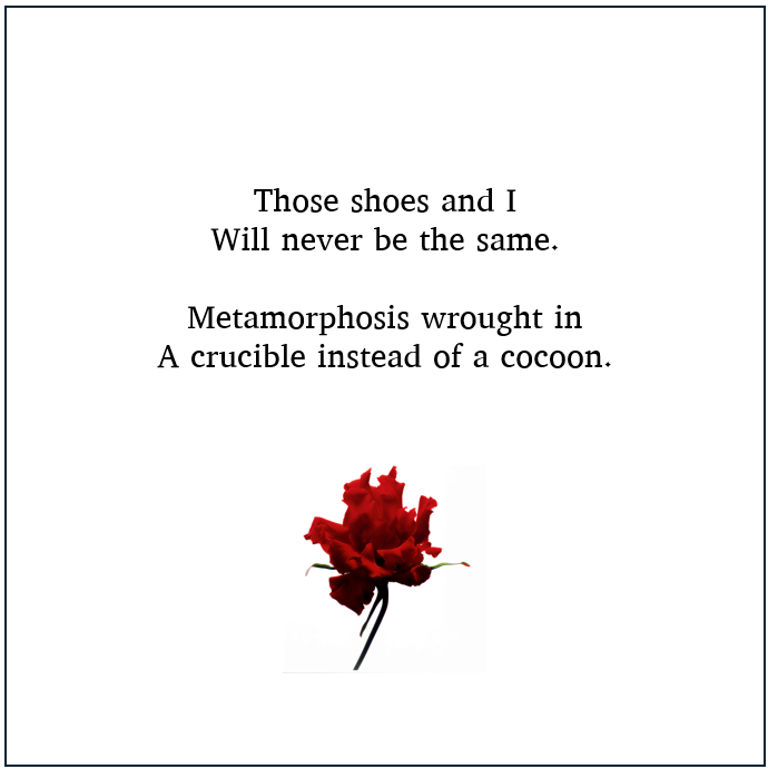 KarenNorrell's tweet photo. Some transformations leave nothing untouched.

From "The Angry Woman’s Book of Verse: On Not Being Quiet" by K.M. Todd

If this resonates, feel free to share.
Link to book in the comments on my pinned post. https://t.co/Xgcm1HcQrA