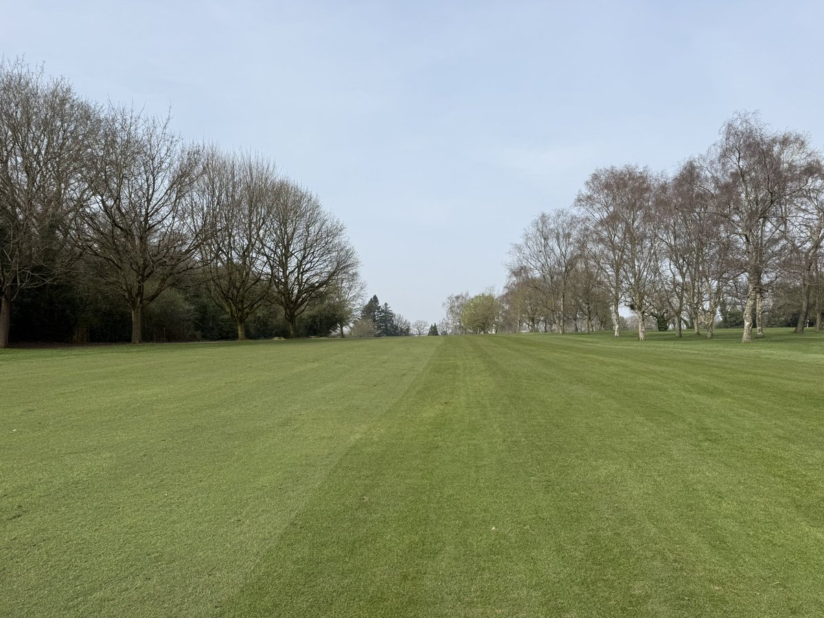 Chris Low tweet media