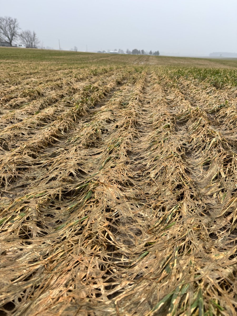 Kim Lawlor tweet media