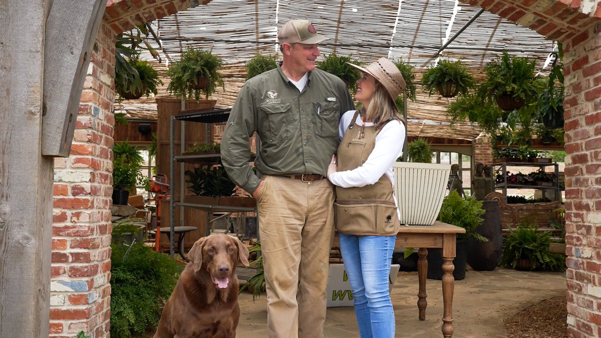 AU Human Sciences tweet media