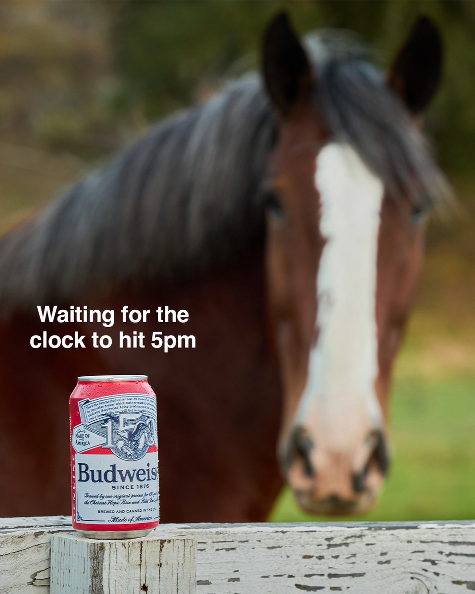 Budweiser tweet media